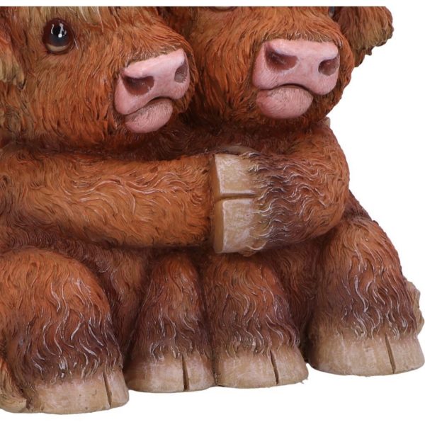 Nemesis Now© B6901C24 Highland Hug Cow Figurine Ornament (14.5cm) - Image 7