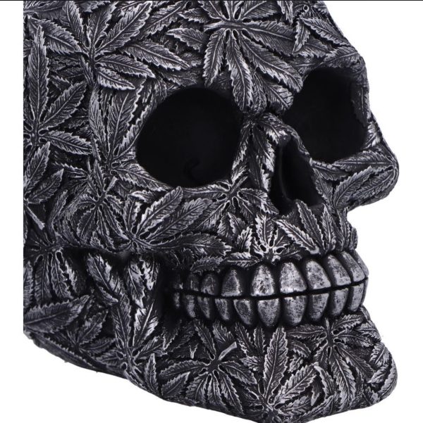 Nemesis Now© U6877C24 High Life Leaf Embellished Skull Ornament (15.5cm) - Image 4
