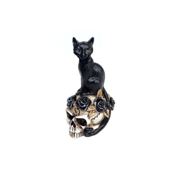 Alchemy© Poly Resin Miniature Cat Skull Ornament (5.8cm) - Image 3