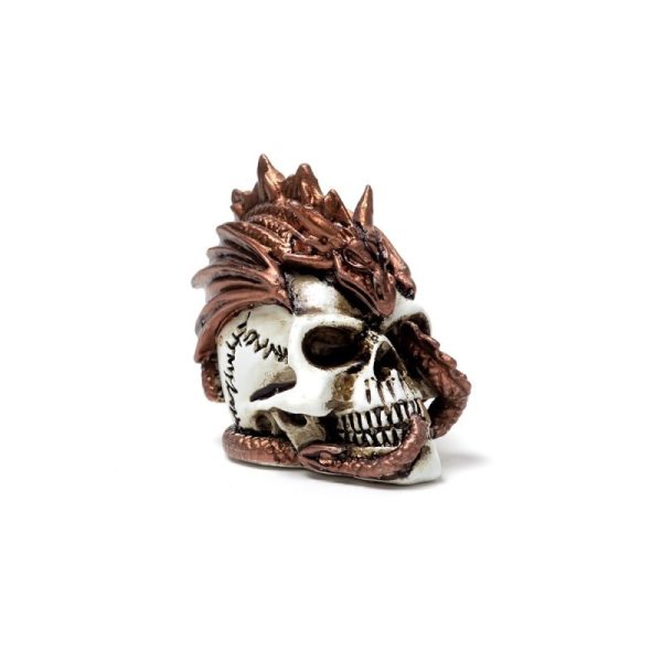Alchemy© Poly Resin Miniature Dragon Keeper Skull Ornament (3.6cm) - Image 3