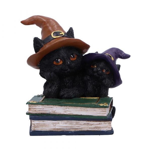 Nemesis Now© Duo Divination Witches Cat Ornament (10cm)