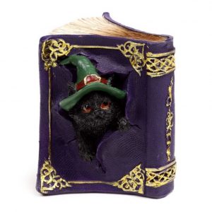 Witches Black Cat Mischievous Spell Book Ornament (9cm)