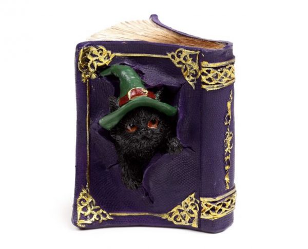 Witches Black Cat Mischievous Spell Book Ornament (9cm)
