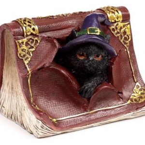 Witches Black Cat Mischievous Spell Book Ornament (9cm)