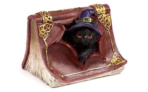 Witches Black Cat Mischievous Spell Book Ornament (9cm)