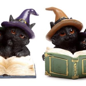 Witches Black Cat Magical Spell Book (11.8cm)