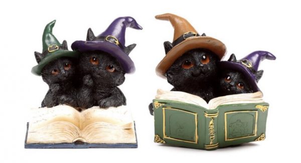 Witches Black Cat Magical Spell Book (11.8cm)