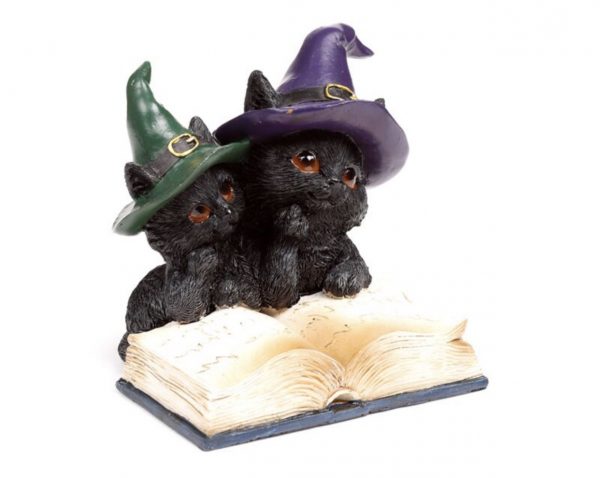 Witches Black Cat Magical Spell Book (11.8cm) - Image 3