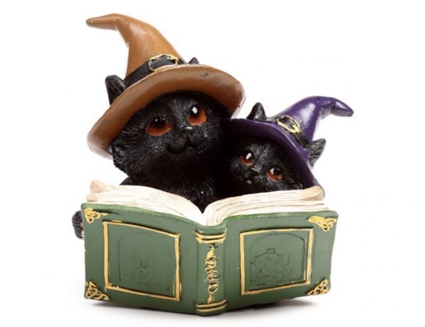 Witches Black Cat Magical Spell Book (11.8cm) - Image 11