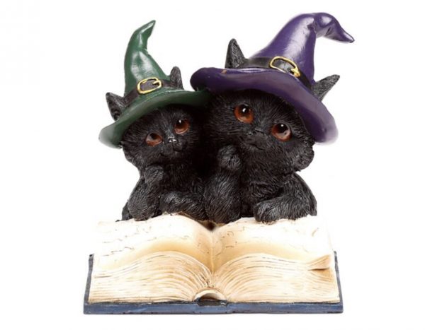 Witches Black Cat Magical Spell Book (11.8cm) - Image 10