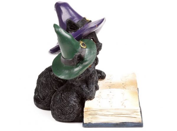 Witches Black Cat Magical Spell Book (11.8cm) - Image 8