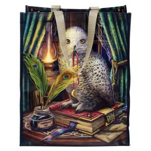 Lisa Parker© Guardian of Spells Owl Reusable Shopping Bag (33cm)