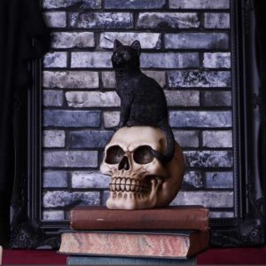 Nemesis Now© Black Witches Cat and Skull Familiar Fate Ornament (24.3cm)