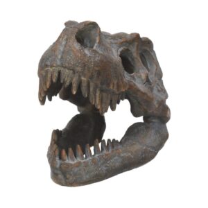 Tyrannosaurus Rex Skull Freestanding (16cm)