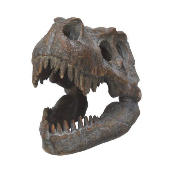 Tyrannosaurus Rex Skull Freestanding (16cm)