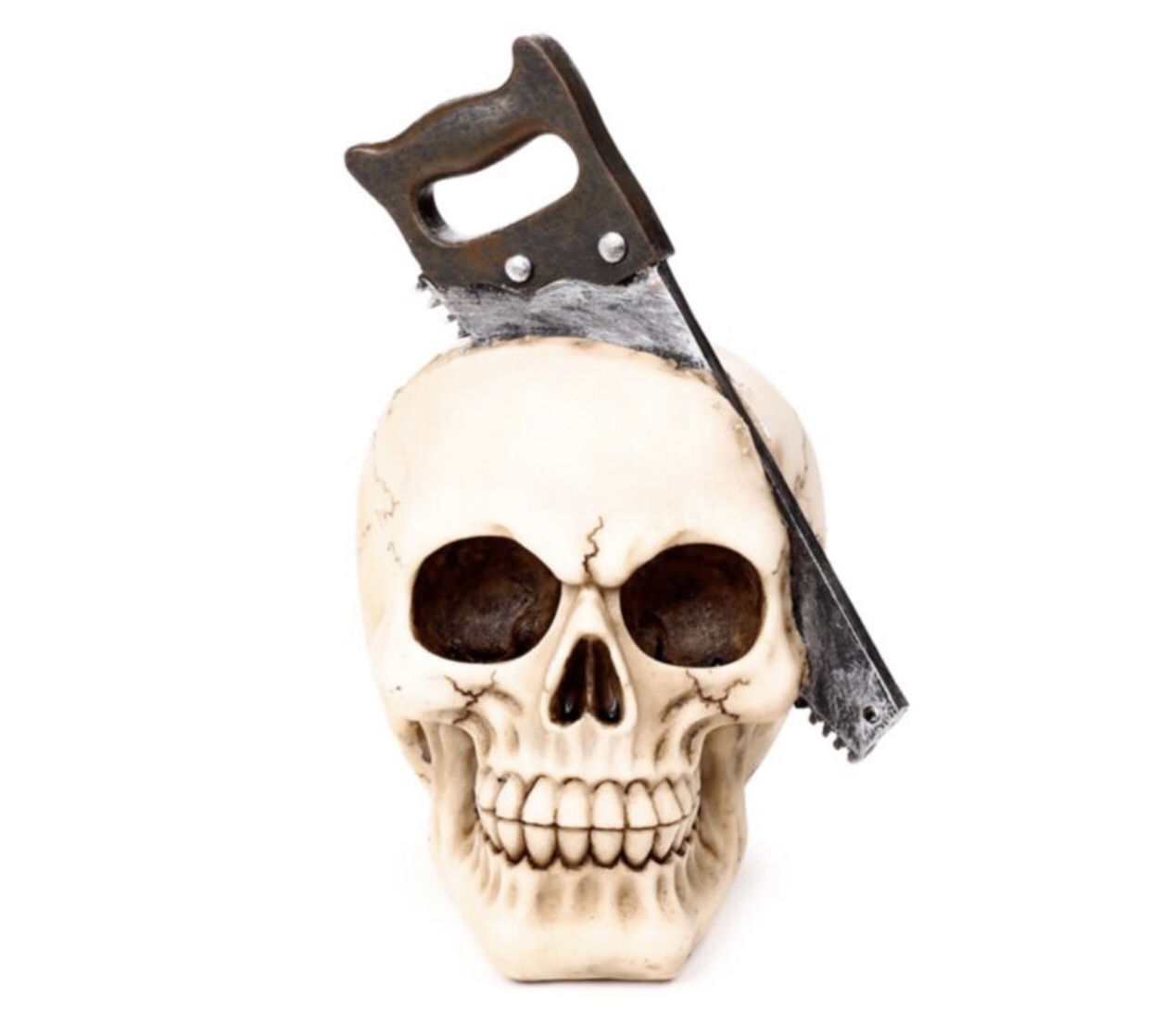 Skull with Saw Through Head Ornament (18cm) - Image 6