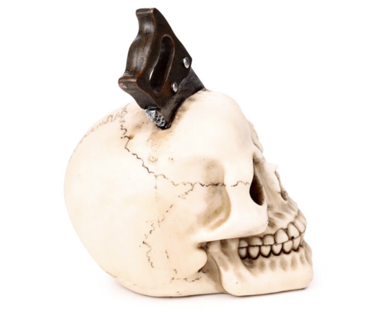 Skull with Saw Through Head Ornament (18cm) - Image 5