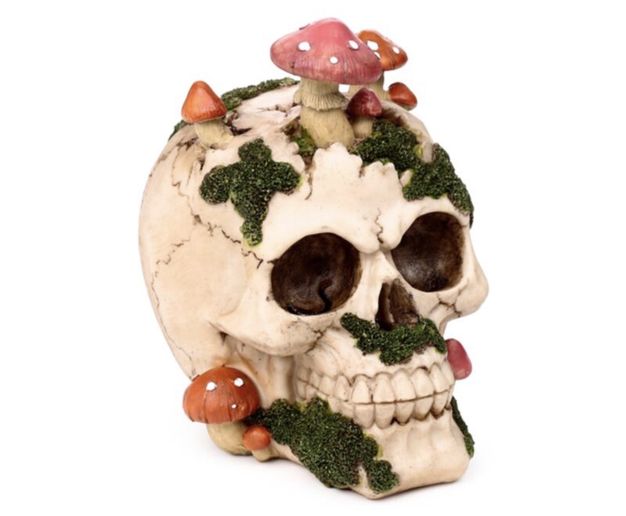 Skull with Toadstools & Moss Ornament (15cm) - Image 5