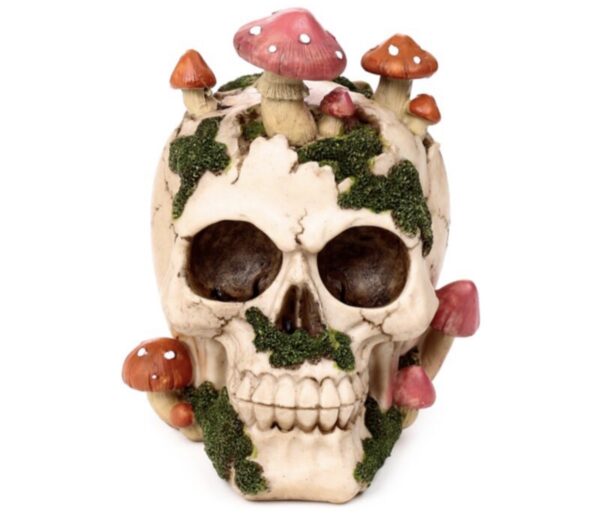 Skull with Toadstools & Moss Ornament (15cm)