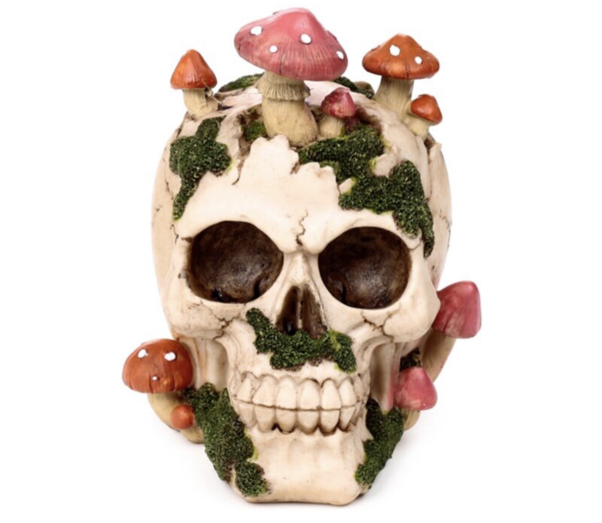 Skull with Toadstools & Moss Ornament (15cm)