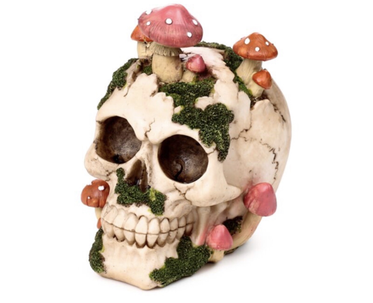Skull with Toadstools & Moss Ornament (15cm) - Image 3