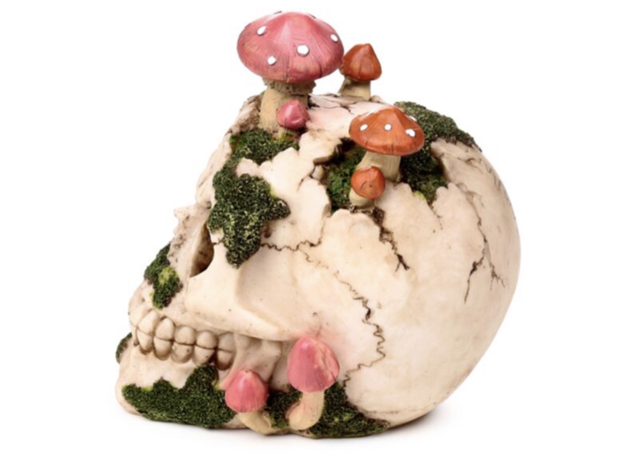 Skull with Toadstools & Moss Ornament (15cm) - Image 7