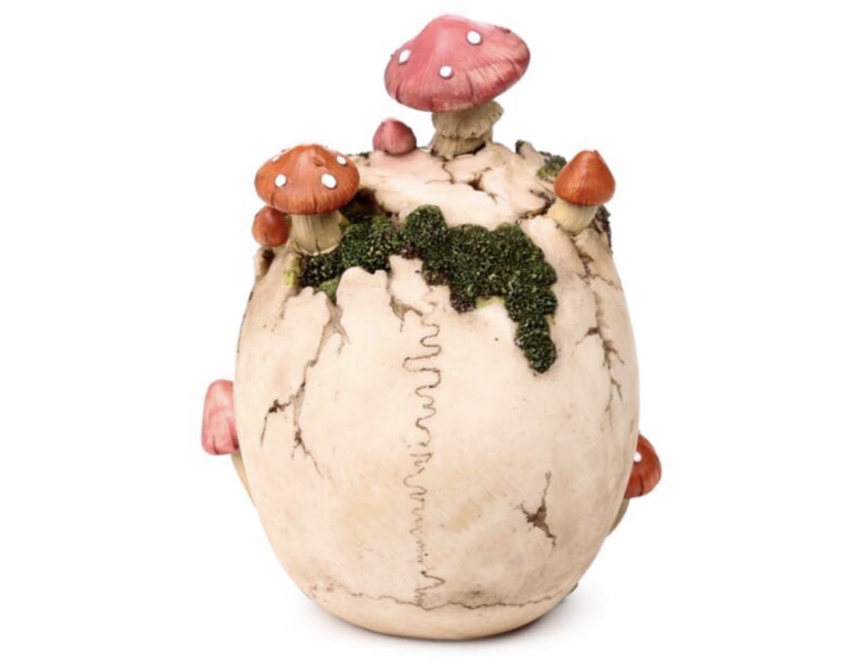 Skull with Toadstools & Moss Ornament (15cm) - Image 4