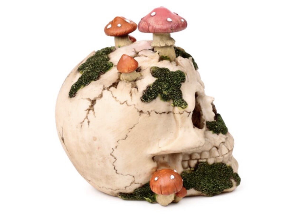 Skull with Toadstools & Moss Ornament (15cm) - Image 2