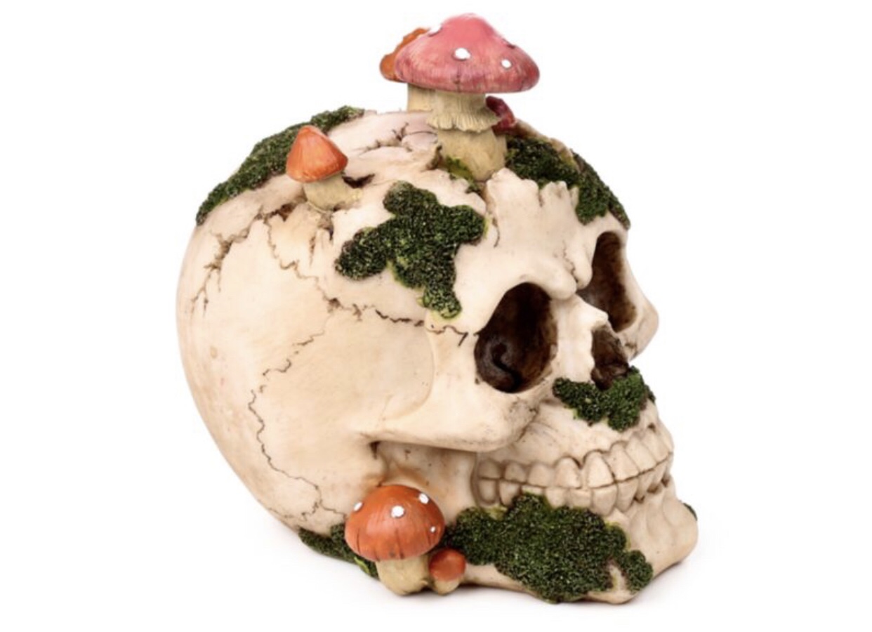 Skull with Toadstools & Moss Ornament (15cm) - Image 6
